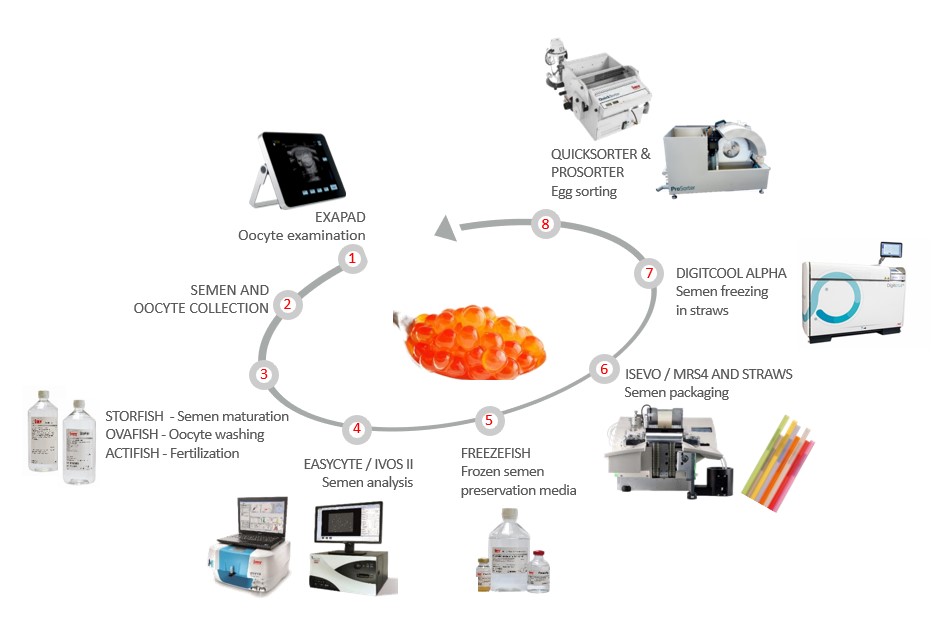 Circle produits Aquanor 2023_VF